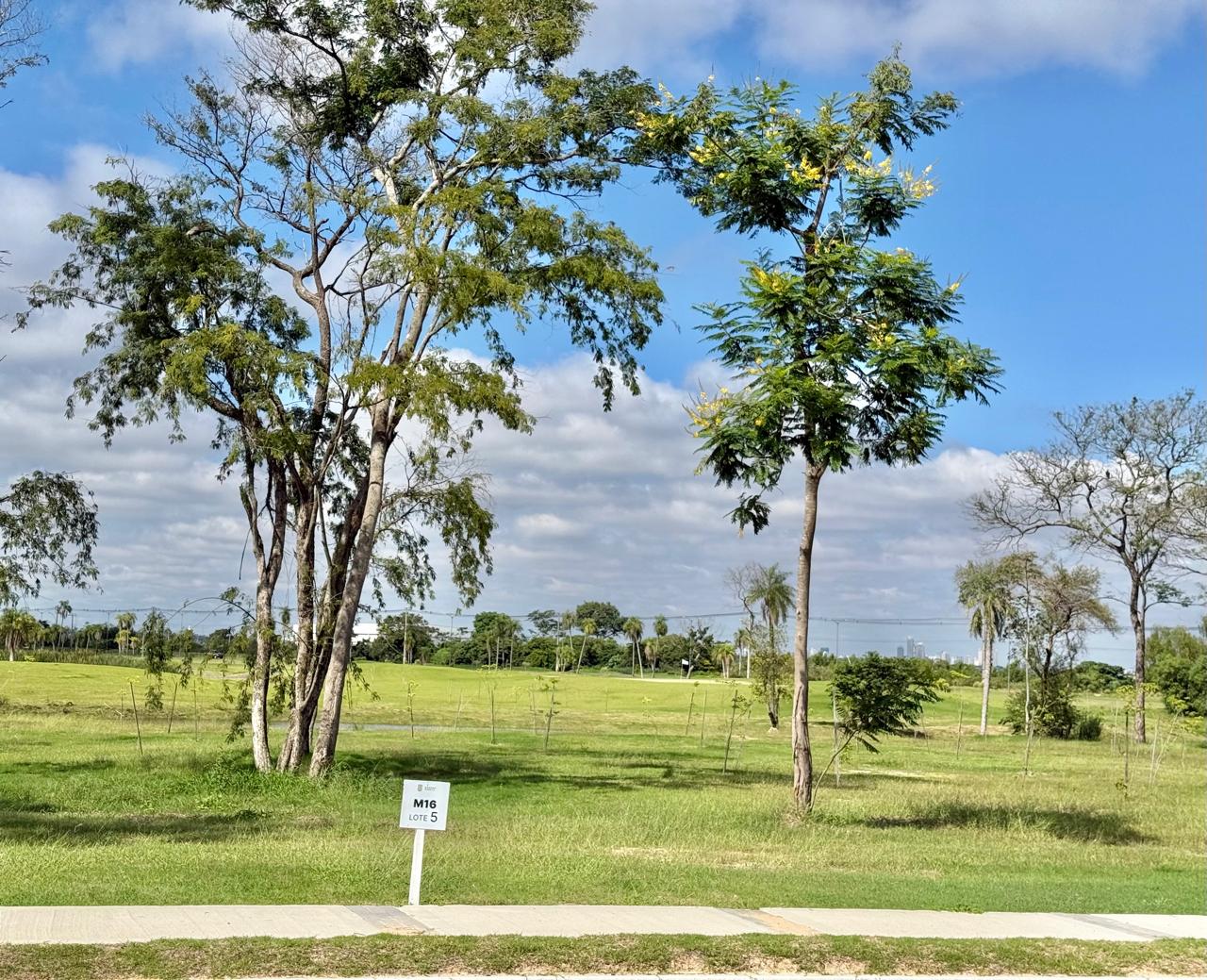 Campo de Golf